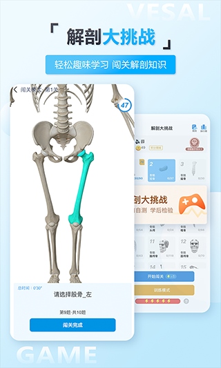 软件截图(5)